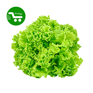 Store Jinukun Feuilles de laitues