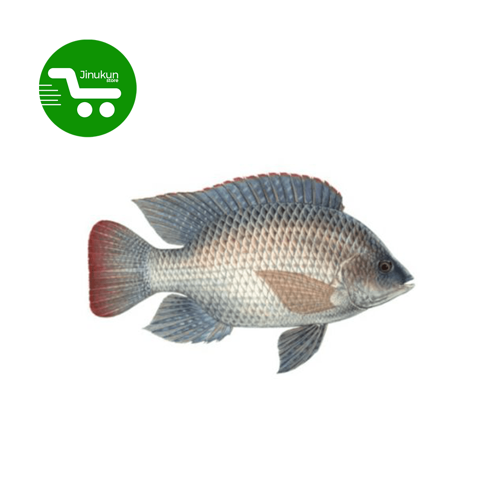 jinukun store  Tilipia frais 1kg