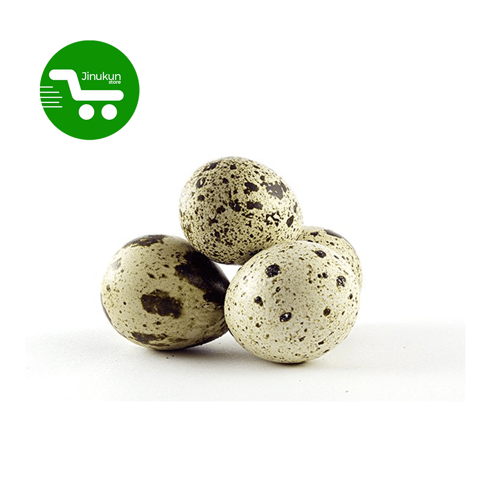 Store Jinukun Oeufs de cailles