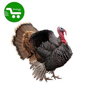 Store Jinukun Dindon