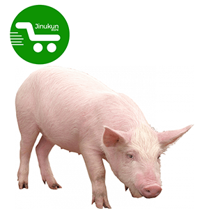 Store Jinukun Porc entier
